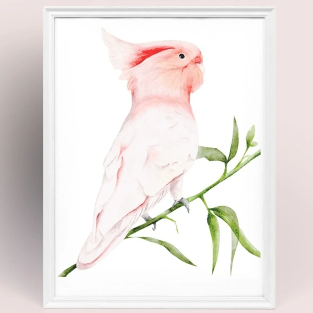 Wall Art Major Michell's Cockatoo Print Unframed - Picture 4 of 6